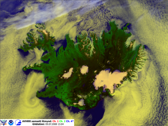 Lágský við Ísland