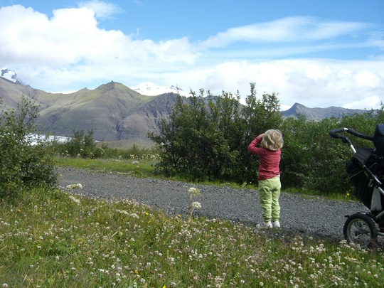 Lítill ferðalangur á stíg í gegnum birkikjarr