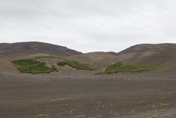 Landeyðing á Melrakkasléttu