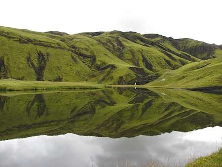 gróin hlíð speglast í kyrru vatni