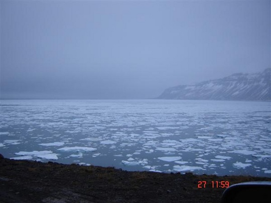 Hafís í Dýrafirði í lok janúar 2007.