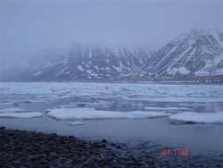 Hafís í Dýrafirði í lok janúar 2007.