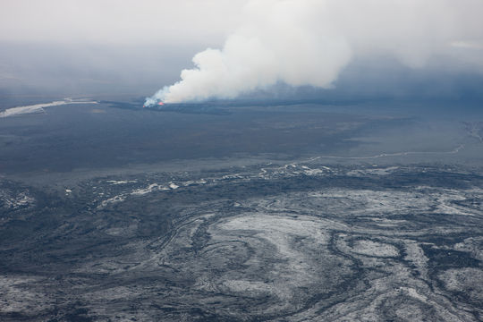 OFG_245-20140903-162953_ ""