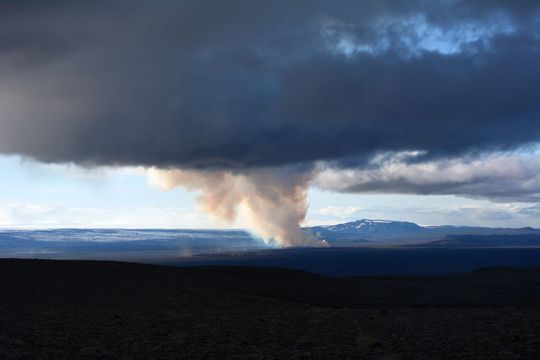 RiYe_plume_detail-2 ""