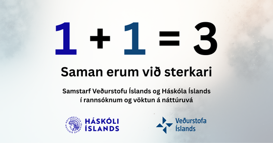 Saman-erum-vid-sterkari-113