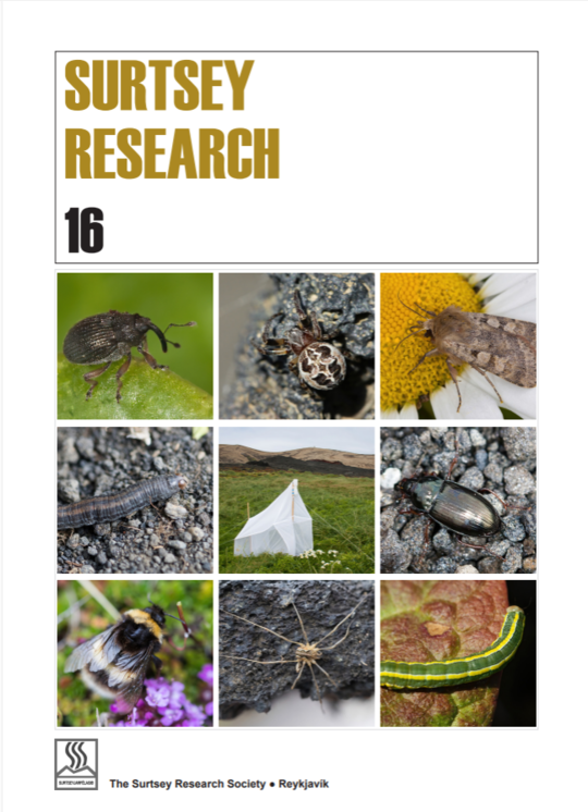 Skjamynd-2025-12-19-155239