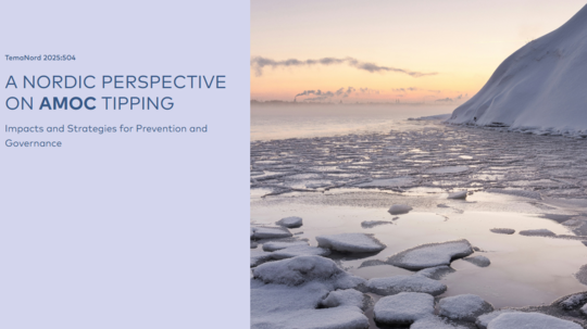 Skjamynd-2026-02-05-101517