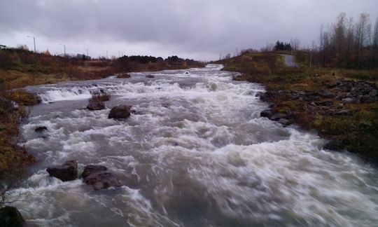 Elliðaár ""