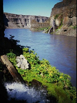 vatn, gljúfur, gróður