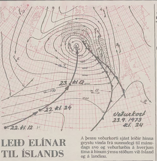 fellibylurinn ellen kort