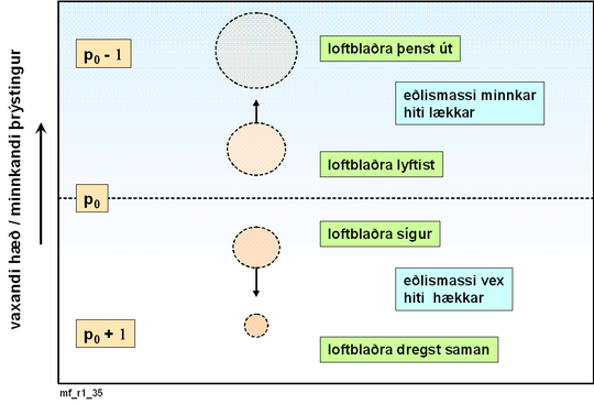 skýringarmynd